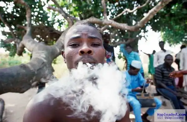See How To Make N900k Weekly Doing Nothing But Smoke Weed Everyday
